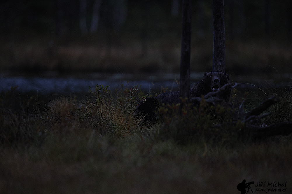 c5ri3510 20251123 1411823348