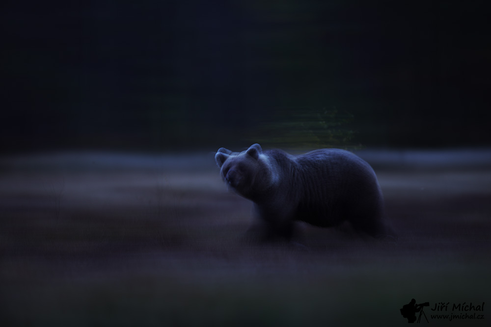 c5ri4577 20260104 1065624118