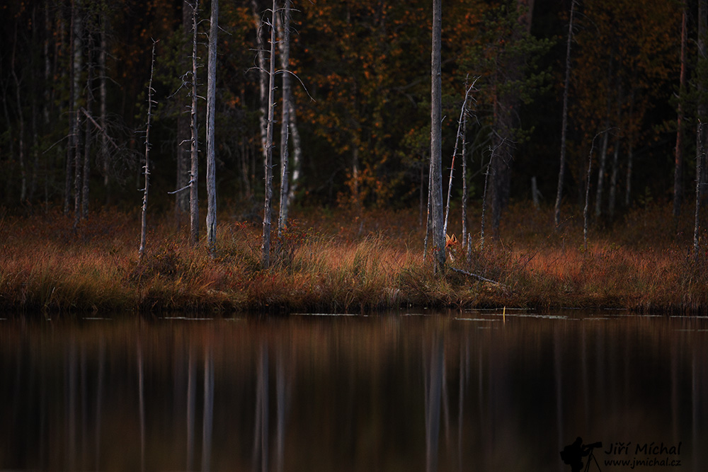 c5ri6591 20260118 1563460566