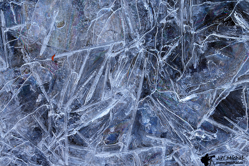 c5ri7171 20260329 1162421846