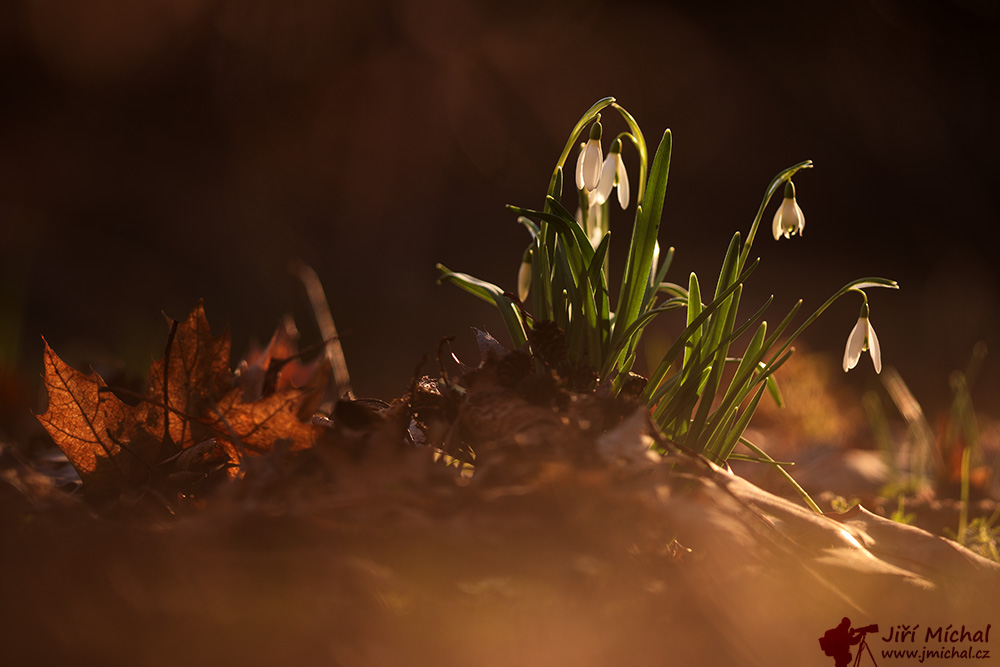 c5ri7958 20260419 1530660022