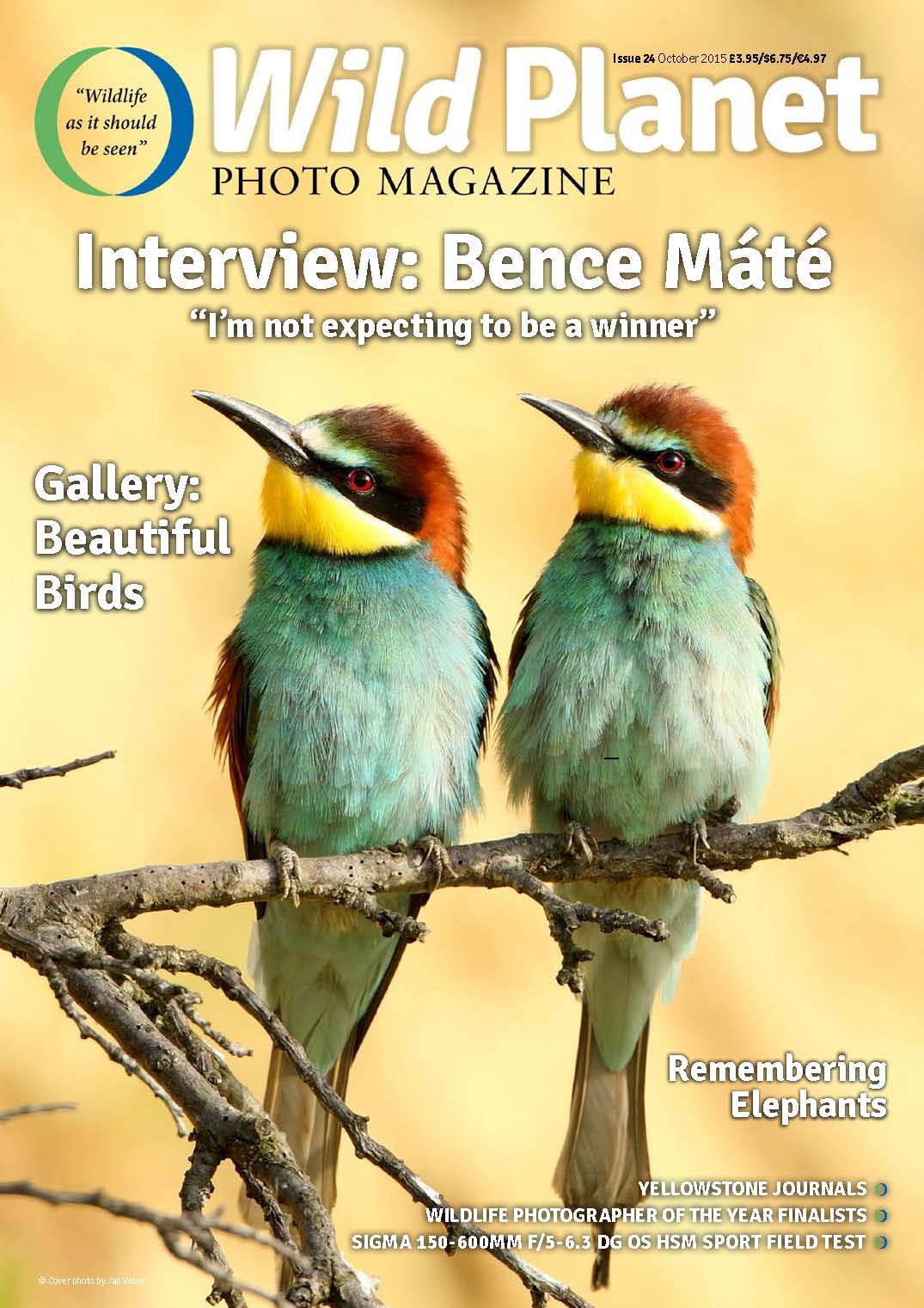 Cover WP24 bee-eaters-4