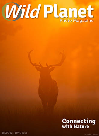 Cover June WPM web 329x450